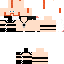 Texture for felilix21