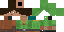 Texture for Minecrafter old