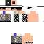 Texture for BRISOL4