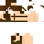 Texture for SLAVE 501 FUNTIME M3