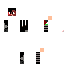 Texture for ds