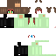 Texture for NINJA SKYLAR