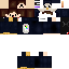 Texture for Skillerpinguin