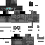 Texture for Skin 1