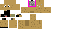 Texture for Coco