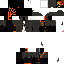 Texture for robinttt
