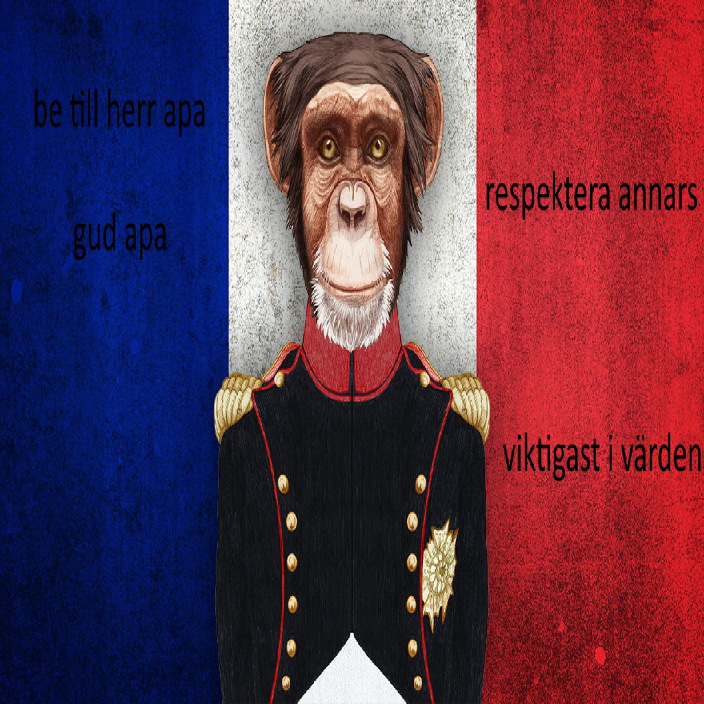 Texture for monke religon