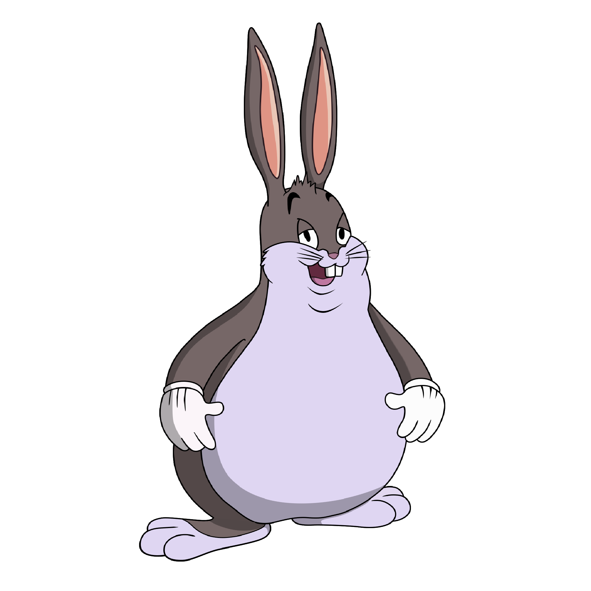 Texture for rabbit_raw