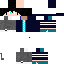 Texture for 2017 New Skin