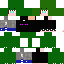 Texture for Lirex85