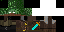 Texture for ds