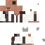 Texture for angel