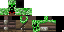 Texture for rdgr