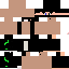 Texture for parth