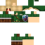 Texture for BENDrownedCustomNPCRP