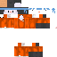 Texture for PinguimVoador