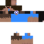 Texture for sajad