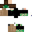 Texture for Memex impostor
