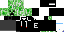 Texture for EcreeperBR