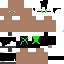 Texture for PlZygarde64
