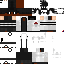 Texture for s4