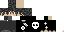 Texture for 3DPhantom