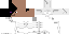 Texture for endersceleton