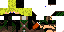 Texture for sen