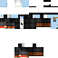 Texture for flecki_