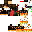 Texture for STEFAN