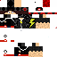 Texture for Electrical_feed(the real one)