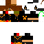Texture for ada