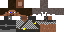 Texture for Scout