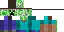 Texture for creeper face