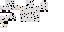 Texture for Snow Leopard Cat