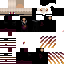 Texture for Final Sagi
