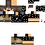 Texture for lion
