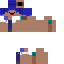 Texture for Derp