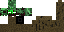 Texture for Tree Ent
