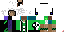 Texture for steve