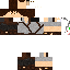 Texture for Explorer