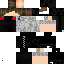 Texture for Mine-Imator