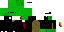 Texture for turtle