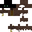 Texture for Bob