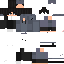 Texture for max