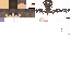 Texture for settkuy head