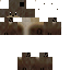 Texture for Otter
