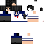 Texture for nim