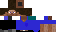 Texture for Steve