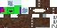 Texture for Pro_Turtle